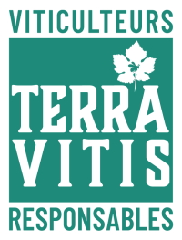 TERRA VITIS